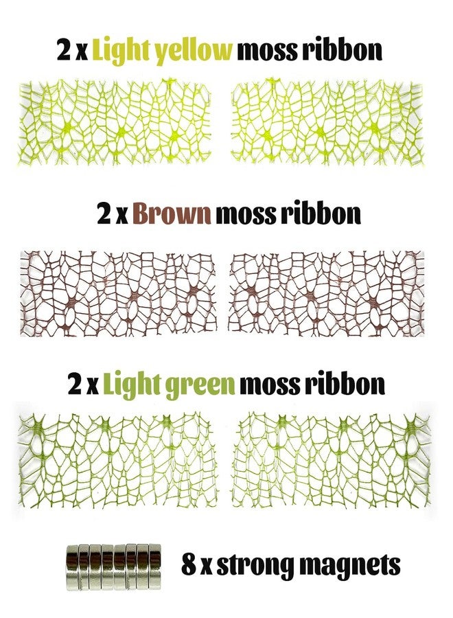 Julang 6 PCS Jumping Spider Enclosure Accessories, 3 Colors Webbed Moss Ribbon with Magnets, for Jumping Spider Habitat Spoods Climbing - Image 2